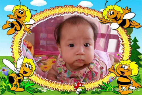 LoveFrames_20120912_194100_wm.jpg image