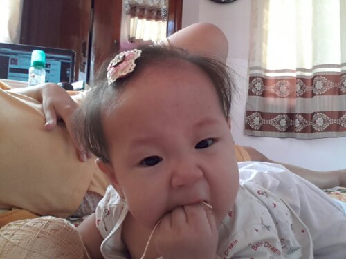 20121126_113619.jpg image