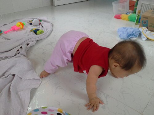 20121124_092304.jpg image