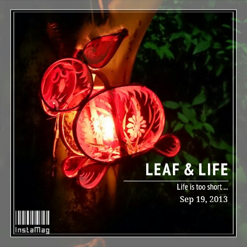 img1379598972385.jpg image