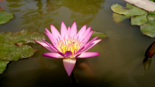 1392054669353.jpg image