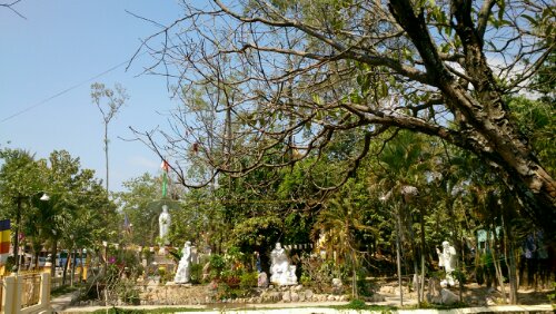 1392054672510.jpg image