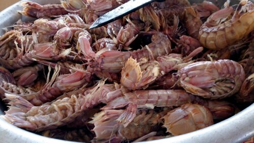 1392054678828.jpg image