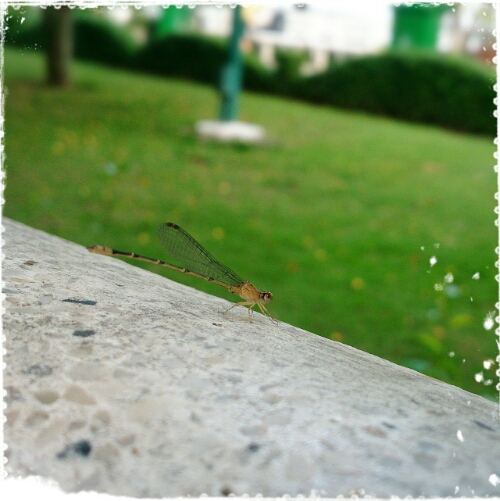 2015-01-29-22-55-56_deco.jpg image