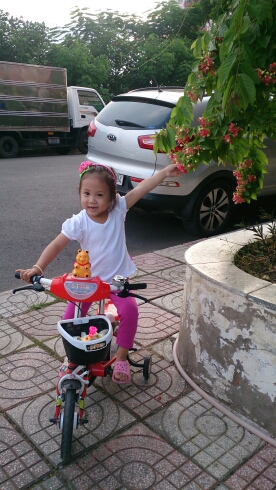 wp-1441236839779 image