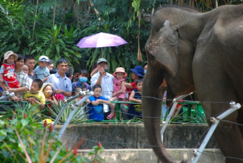 wp-1441237010787 image