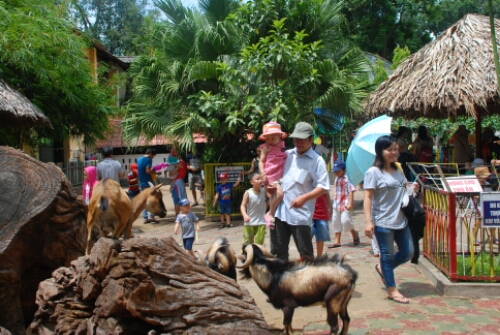 wp-1441237026286 image