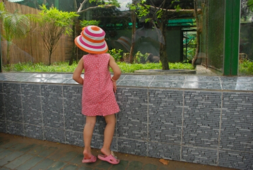 wp-1441237037883 image