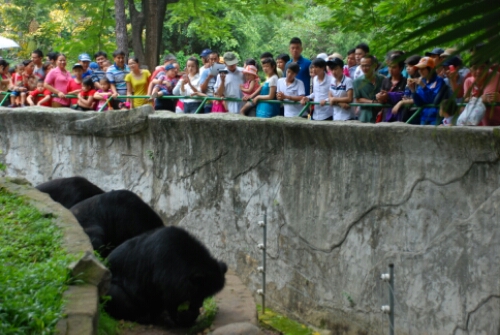 wp-1441237050631 image