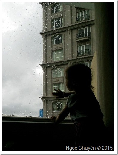 DSC_0080-01 DSC_0080-01