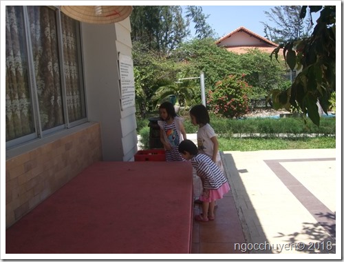 IMG_5220 IMG_5220
